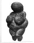 The Venus of Willendorf, side view of female figurine, Gravettian culture, Upper Paleolithic Period, c.30000-18000 BC by Prehistoric Prehistoric