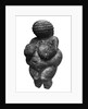 The Venus of Willendorf, side view of female figurine, Gravettian culture, Upper Paleolithic Period, c.30000-18000 BC by Prehistoric Prehistoric