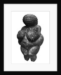 The Venus of Willendorf, side view of female figurine, Gravettian culture, Upper Paleolithic Period, c.30000-18000 BC by Prehistoric Prehistoric