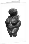 The Venus of Willendorf, side view of female figurine, Gravettian culture, Upper Paleolithic Period, c.30000-18000 BC by Prehistoric Prehistoric