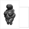 The Venus of Willendorf, side view of female figurine, Gravettian culture, Upper Paleolithic Period, c.30000-18000 BC by Prehistoric Prehistoric