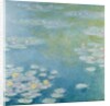 Nympheas at Giverny, 1908 by Claude Monet