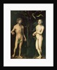 Adam and Eve by Lucas the Elder Cranach