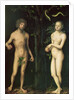 Adam and Eve by Lucas the Elder Cranach