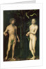 Adam and Eve by Lucas the Elder Cranach