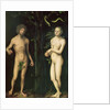 Adam and Eve by Lucas the Elder Cranach