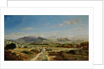 Hills near Allauch, 1862 by Paul Camille Guigou
