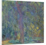 Weeping Willow, 1918-19 by Claude Monet