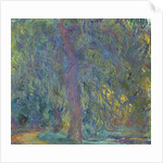 Weeping Willow, 1918-19 by Claude Monet