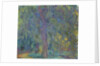 Weeping Willow, 1918-19 by Claude Monet