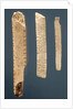 Three decorated bones by Prehistoric Prehistoric