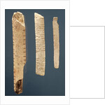 Three decorated bones by Prehistoric Prehistoric