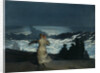 Summer Night, 1890 by Winslow Homer