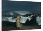 Summer Night, 1890 by Winslow Homer