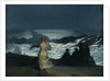 Summer Night, 1890 by Winslow Homer