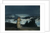 Summer Night, 1890 by Winslow Homer