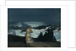 Summer Night, 1890 by Winslow Homer