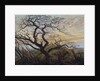 The Tree of Crows, 1822 by Caspar David Friedrich
