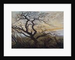 The Tree of Crows, 1822 by Caspar David Friedrich