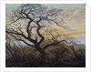 The Tree of Crows, 1822 by Caspar David Friedrich