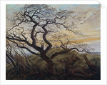 The Tree of Crows, 1822 by Caspar David Friedrich