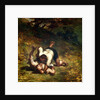 The Thieves and the Donkey, c.1858-60 by Honore Daumier