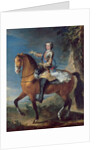 Equestrian Portrait of Louis XV at the age of thirteen, 1723 by C. & Van Loo J. B. Parrocel