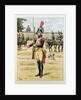 Elite Legion of the Gendarmerie, 1801-02 by P. Benigni