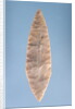 Solutrean 'laurel leaf' blade, found at Volgu, 20000-15000 BC by Paleolithic Paleolithic