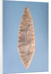 Solutrean 'laurel leaf' blade, found at Volgu, 20000-15000 BC by Paleolithic Paleolithic