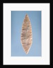Solutrean 'laurel leaf' blade, found at Volgu, 20000-15000 BC by Paleolithic Paleolithic