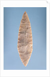 Solutrean 'laurel leaf' blade, found at Volgu, 20000-15000 BC by Paleolithic Paleolithic