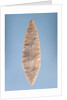 Solutrean 'laurel leaf' blade, found at Volgu, 20000-15000 BC by Paleolithic Paleolithic