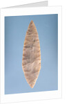 Solutrean 'laurel leaf' blade, found at Volgu, 20000-15000 BC by Paleolithic Paleolithic