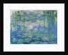 Waterlilies, 1916-19 by Claude Monet