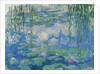 Waterlilies, 1916-19 by Claude Monet