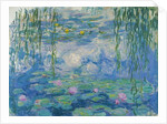 Waterlilies, 1916-19 by Claude Monet