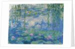 Waterlilies, 1916-19 by Claude Monet