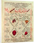 Page from the 'Canon of Medicine' by Avicenna, 14th century by Islamic School