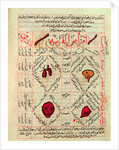 Page from the 'Canon of Medicine' by Avicenna, 14th century by Islamic School