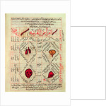 Page from the 'Canon of Medicine' by Avicenna, 14th century by Islamic School