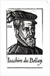 Portrait of Joachim du Bellay by French School