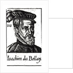 Portrait of Joachim du Bellay by French School
