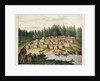 Indian Encampment on Quadra Island, Vancouver Islands by German School