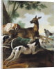 A Deer Chased by Dogs, 1725 by Jean-Baptiste Oudry