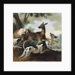 A Deer Chased by Dogs, 1725 by Jean-Baptiste Oudry