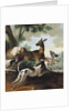 A Deer Chased by Dogs, 1725 by Jean-Baptiste Oudry