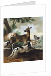 A Deer Chased by Dogs, 1725 by Jean-Baptiste Oudry