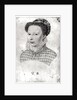 Marguerite of Valois 1568 by Francois Clouet