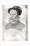 Marguerite of Valois 1568 by Francois Clouet